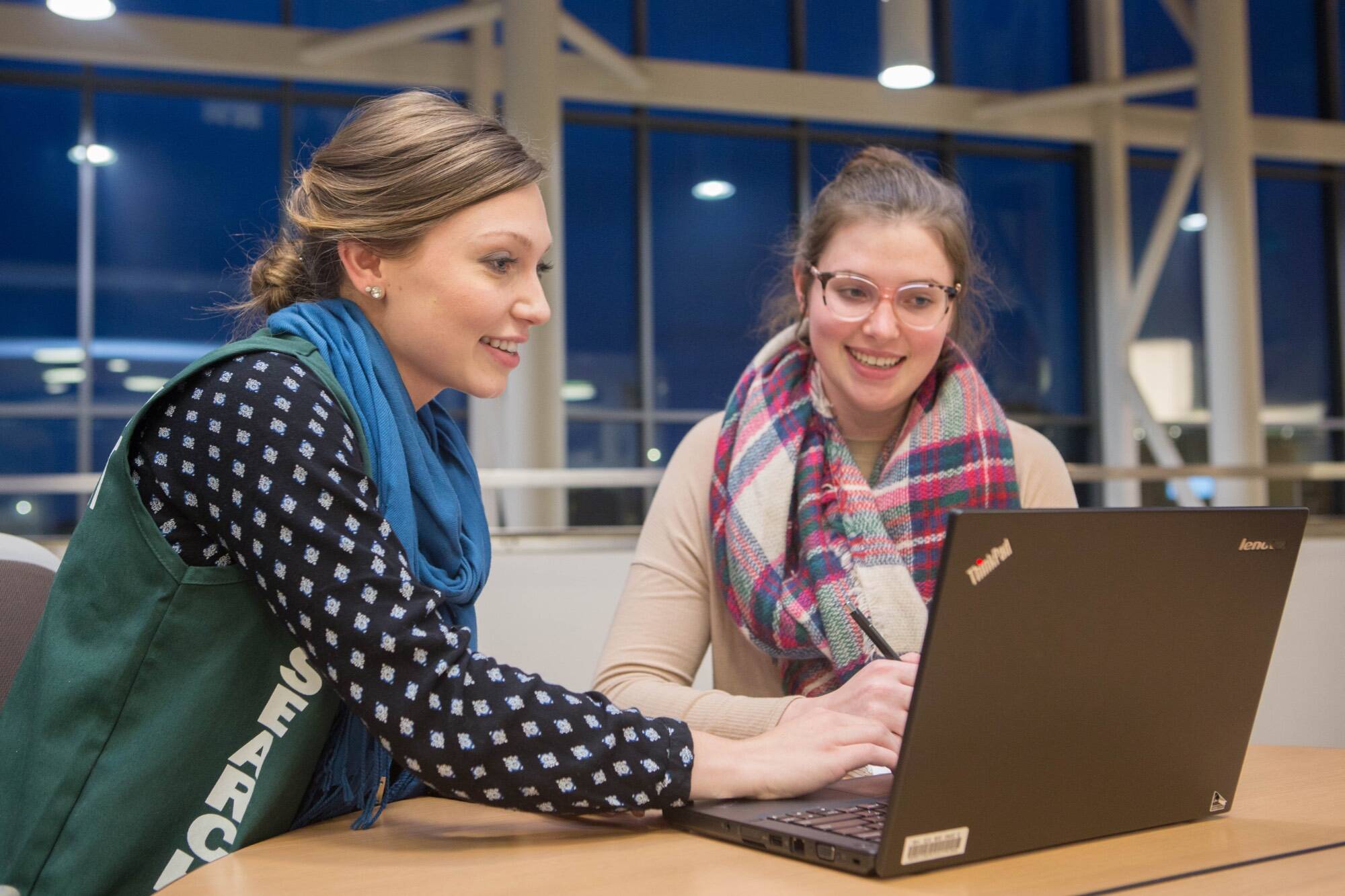 consultant and student working together on a laptop